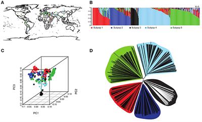 Mapping of HKT1;5 Gene in Barley Using GWAS Approach and Its Implication in Salt Tolerance Mechanism